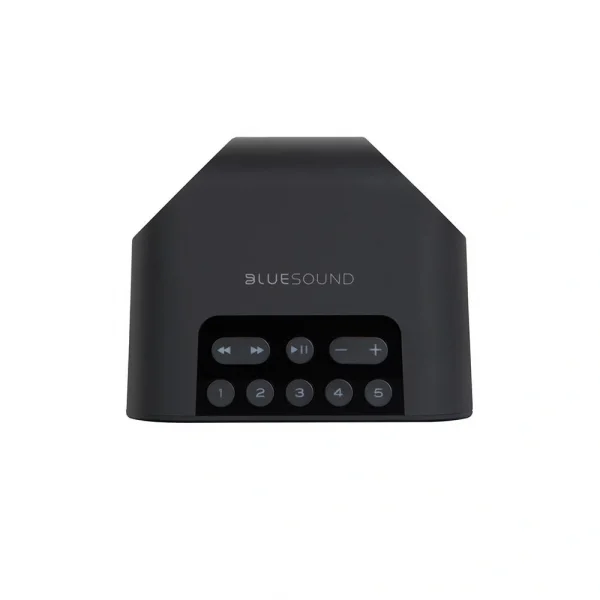 Blue Sound Flex 2i Taşınabilir Kablosuz Hoparlör