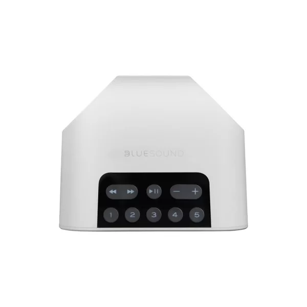 Blue Sound Flex 2i Taşınabilir Kablosuz Hoparlör