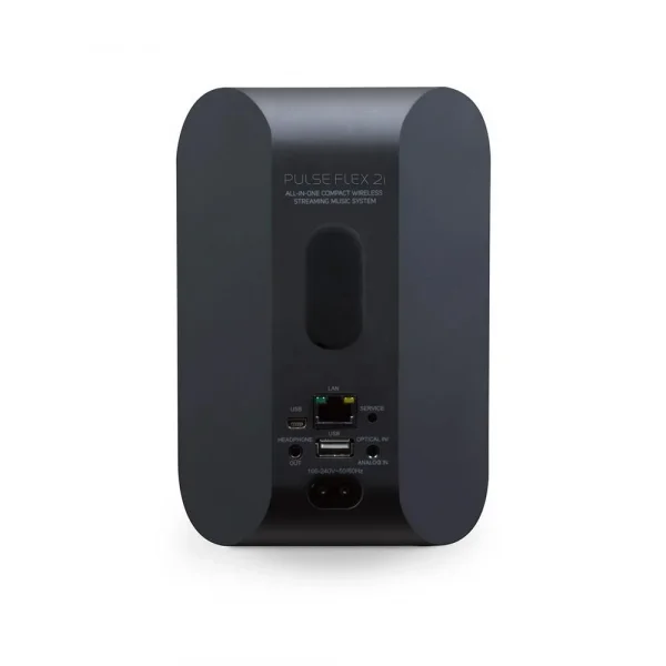 Blue Sound Flex 2i Taşınabilir Kablosuz Hoparlör