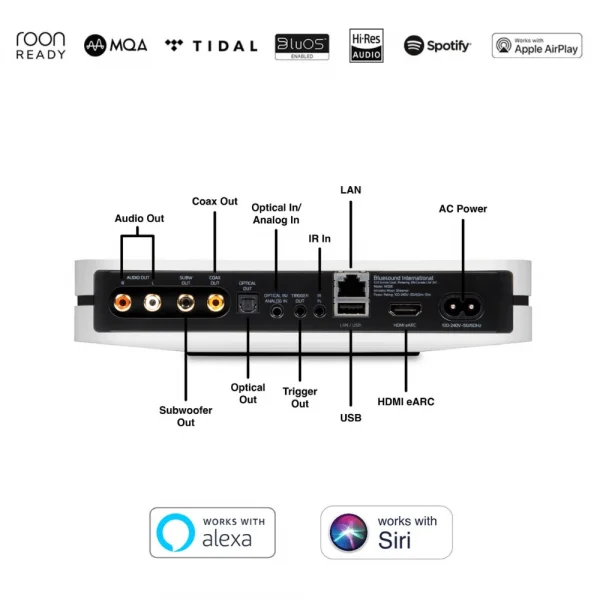 Blue Sound Node N130 Streamer