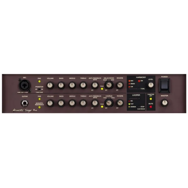 BOSS ACS-PRO Acoustic Singer Pro Amfi