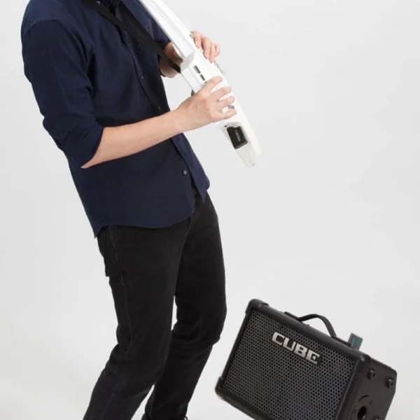 BOSS WL-20L Wireless Gitar Sistemi