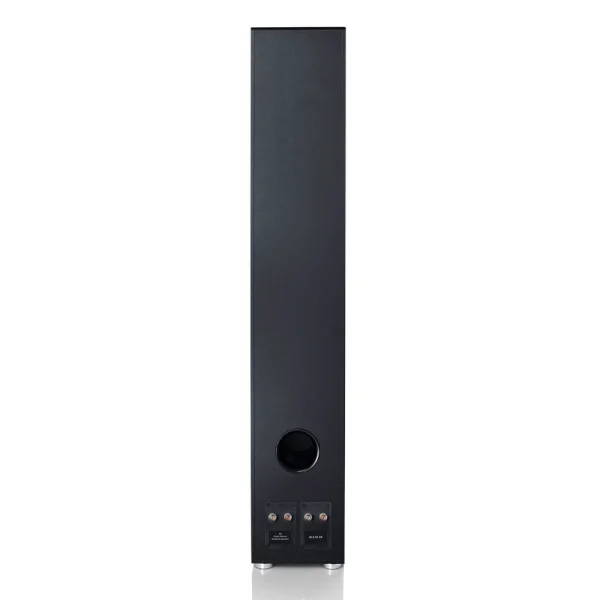 Canton GLE 90 AR Dolby Atmos Özellikli Kule Hoparlör
