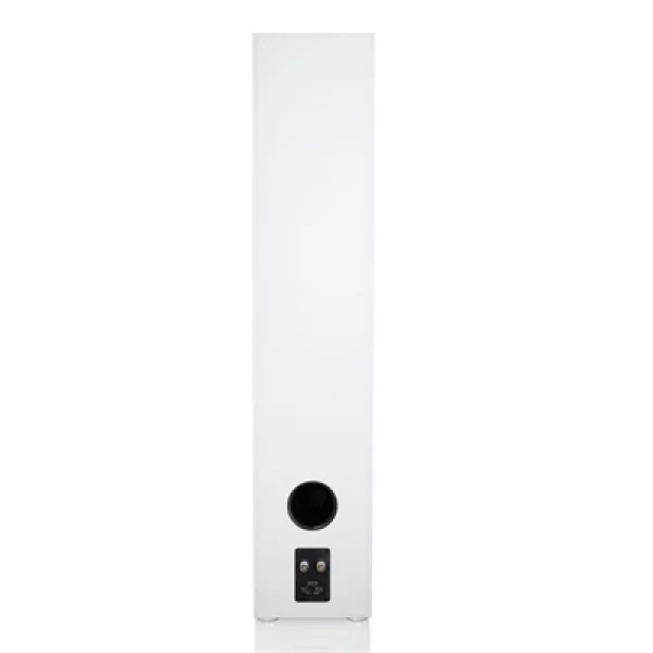 Canton GLE 90 Kule Hoparlör