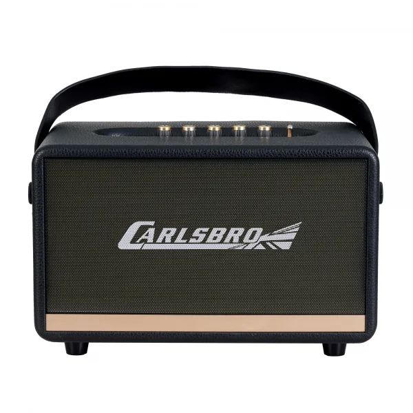 Carlsbro EW CK30-DM Bluetooth Hoparlör (Siyah - 2 Kablosuz Mikrofonlu)