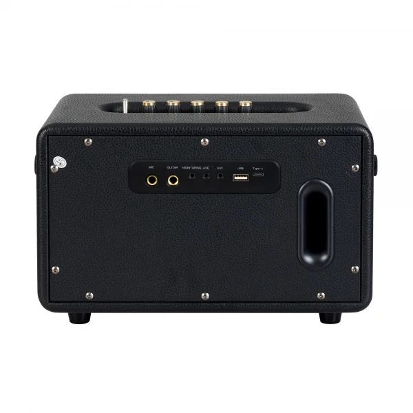 Carlsbro EW CK30-DM Bluetooth Hoparlör (Siyah - 2 Kablosuz Mikrofonlu)