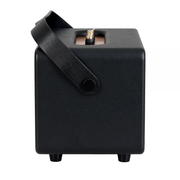 Carlsbro EW CK30-DM Bluetooth Hoparlör (Siyah - 2 Kablosuz Mikrofonlu)