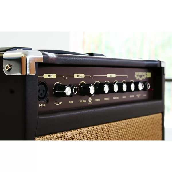 Carlsbro Sherwood20R 20W Akustik Amfi (Reverb)
