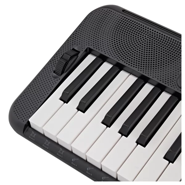 CASIO CT-S300C2 61 Tuş Piyano Stili Hassasiyetli Standard Org (Adaptör Dahil)