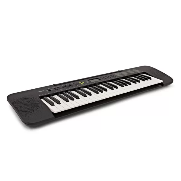 CASIO CTK-240H2 Org (Adaptör Dahil)
