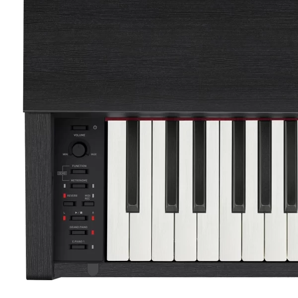 CASIO PX-870BN Privia Gülağacı Dijital Piyano (Tabure & Kulaklık Hediyeli)