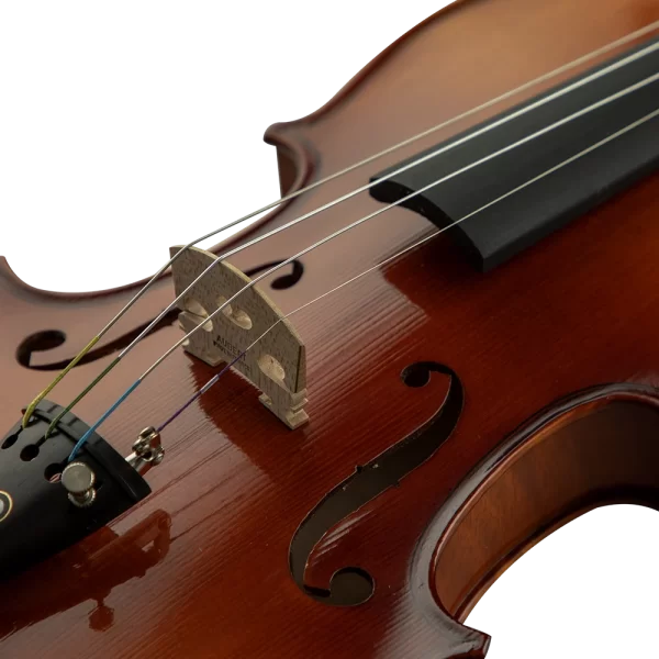 Concerto Model 252TO 4/4 Keman
