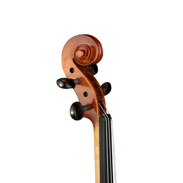 Concerto Model 252TO 4/4 Keman