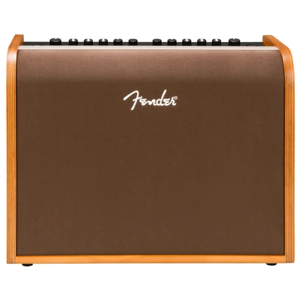Fender Acoustic 100 Akustik Gitar Amfisi