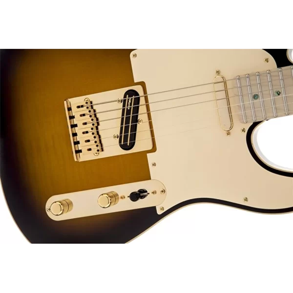 Fender Richie Kotzen Telecaster Akçaağaç Klavye Brown Sunburst Elektro Gitar