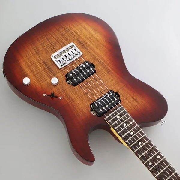 Fujigen Iliad Elektro Gitar JIL2DUEW2RKNB