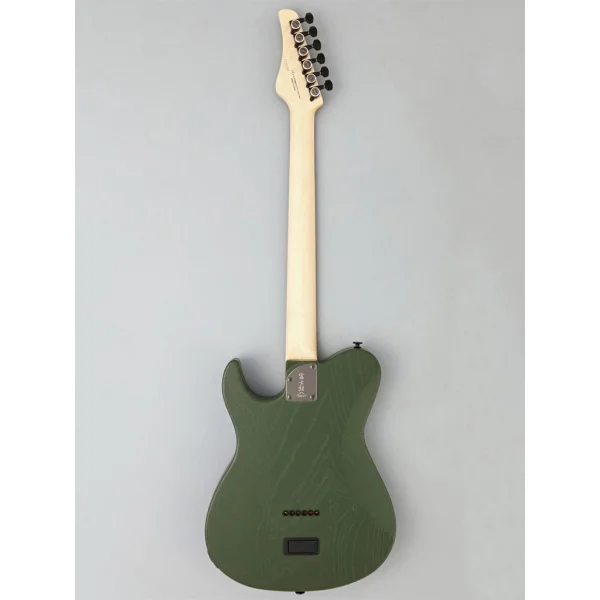 Fujigen IliadElektro Gitar JIL3ASHDE664ROPOG