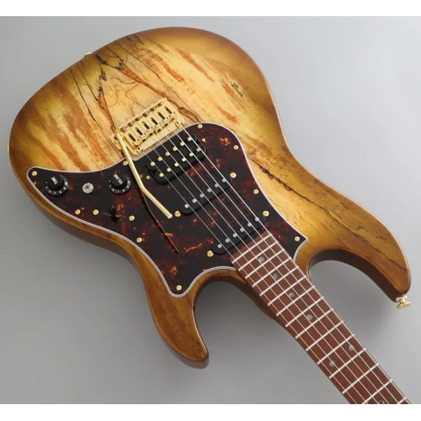 Fujigen Odyssey Elektro Gitar EOS2EW1RM/HCB