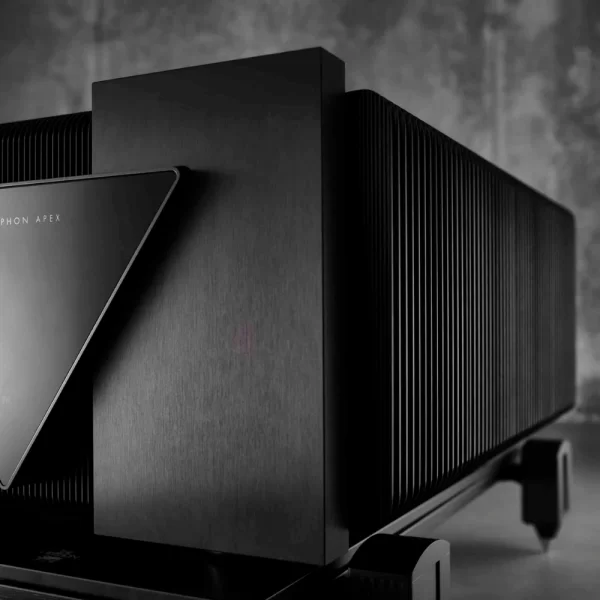 Gryphon APEX Mono Güç Amplifkatörü Çift Fiyatıdır