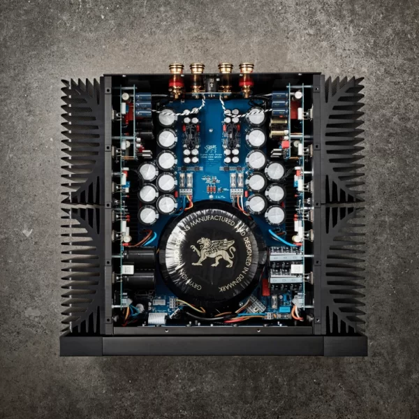 Gryphon Essence Mono Güç Amplifikatörü Çift Fiyatıdır