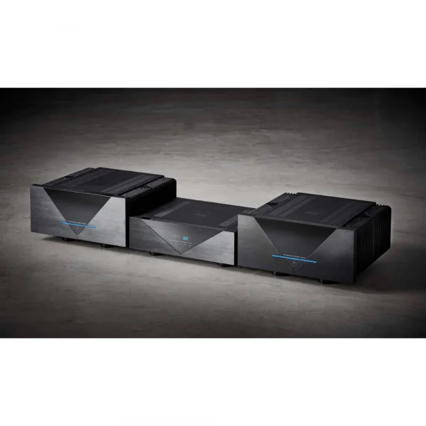 Gryphon Essence Mono Güç Amplifikatörü Çift Fiyatıdır