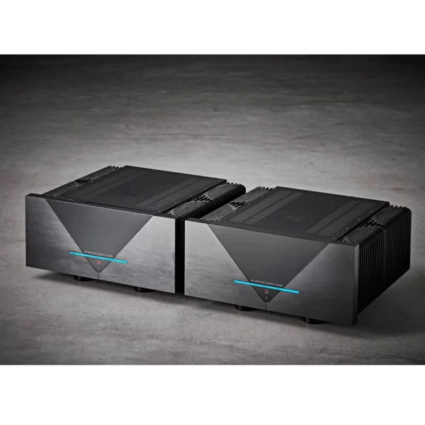 Gryphon Essence Mono Güç Amplifikatörü Çift Fiyatıdır