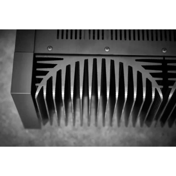Gryphon Essence Mono Güç Amplifikatörü Çift Fiyatıdır