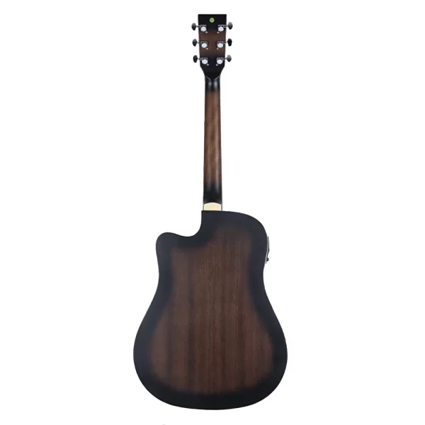HAZE F-650/DVS CEQ Elektro Akustik Gitar