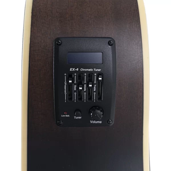 HAZE F-650/DVS CEQ Elektro Akustik Gitar