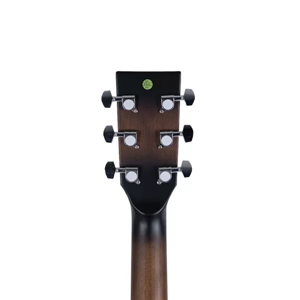 HAZE F-650/DVS CEQ Elektro Akustik Gitar