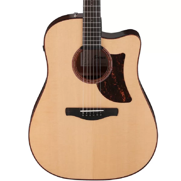 IBANEZ AAD300CE-LGS Elektro Akustik Gitar