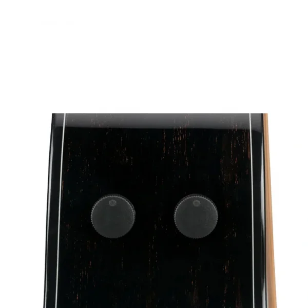 Ibanez AAM340CE-RUB Elektro Akustik Gitar
