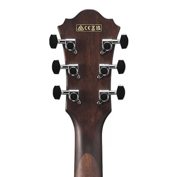 Ibanez AE100-DBF Elektro Akustik Gitar
