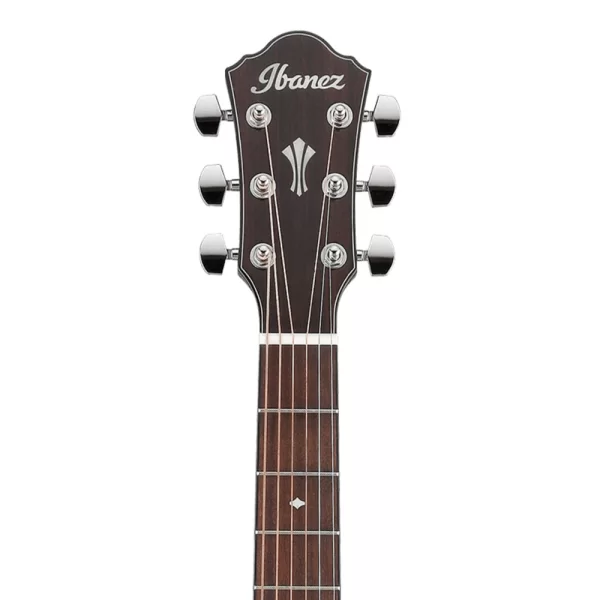 Ibanez AEG220-LGS AEG Serisi Elektro Akustik Gitar
