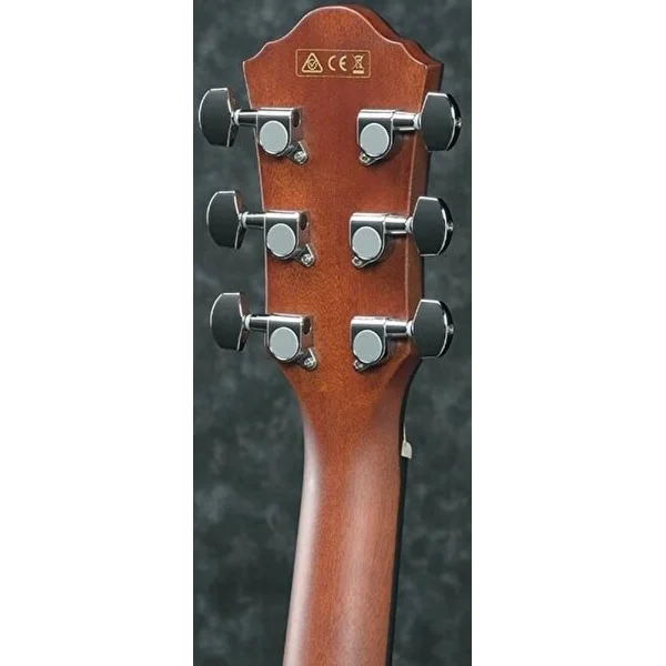 IBANEZ AEG50-IBH Elektro Akustik Gitar