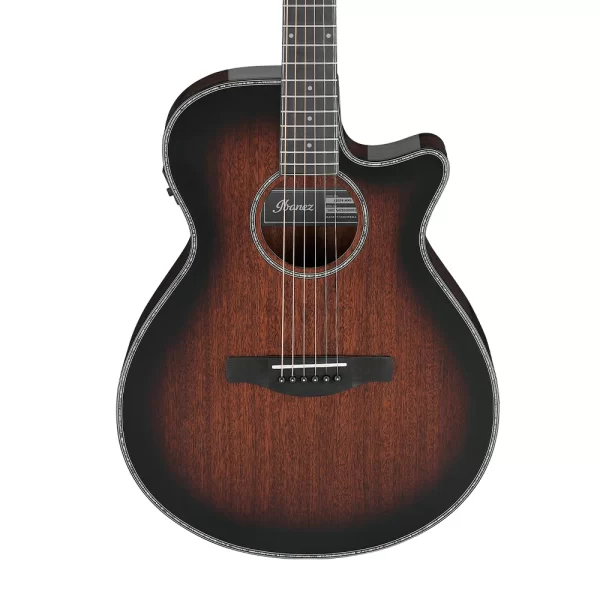 Ibanez AEG74-MHS Elektro Akustik Gitar