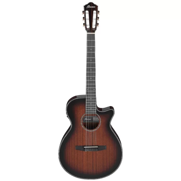 Ibanez AEG74N-MHS Elektro Akustik Gitar