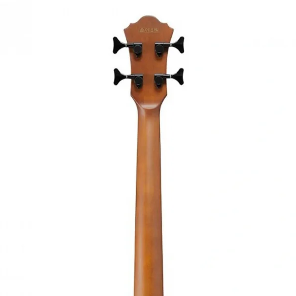 Ibanez AEGB24FE-MHS AEGB Serisi Akustik Bas Gitar