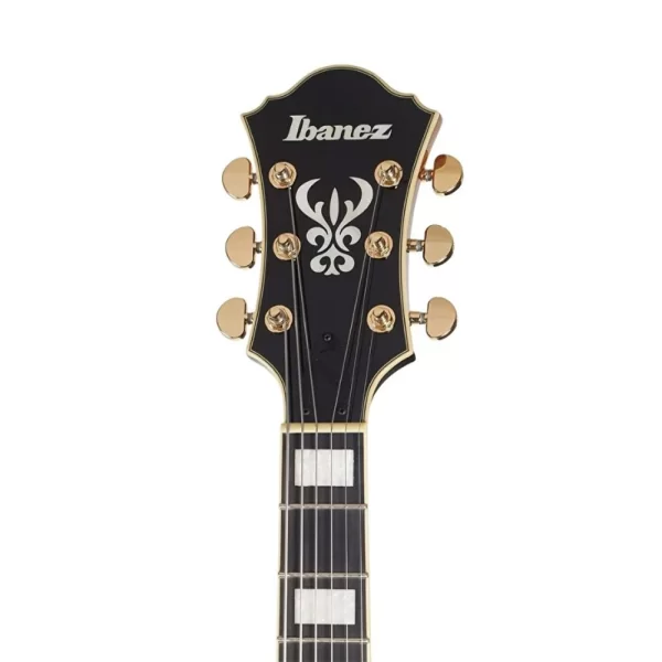 IBANEZ AF95-BS Artcore Expressionist AF Serisi Elektro Gitar