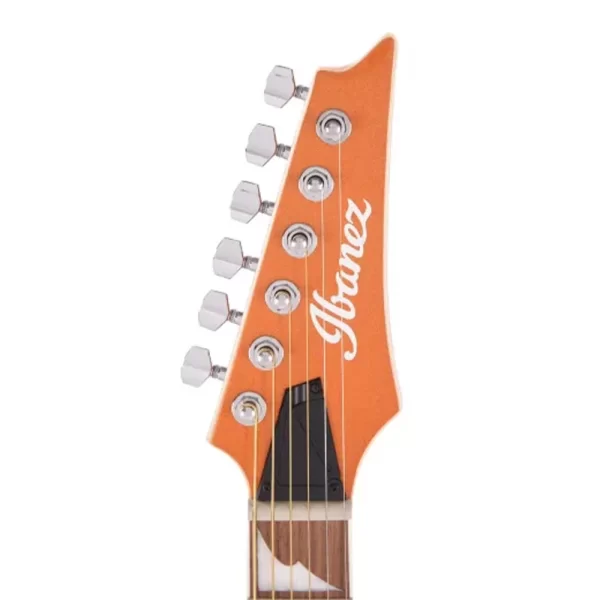 IBANEZ ALT30-DOM Elektro Akustik Gitar