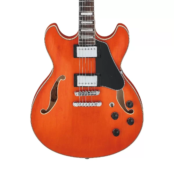 Ibanez AS73-TTF Elektro Gitar