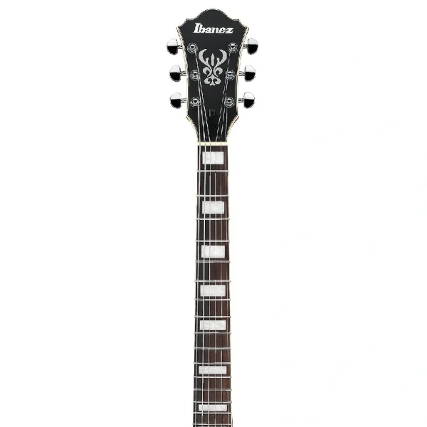 Ibanez AS73-TTF Elektro Gitar