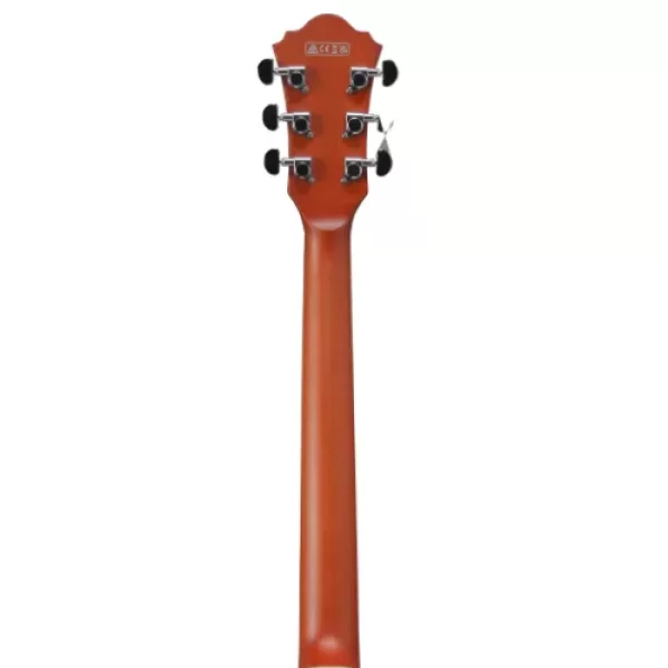 Ibanez AS73-TTF Elektro Gitar