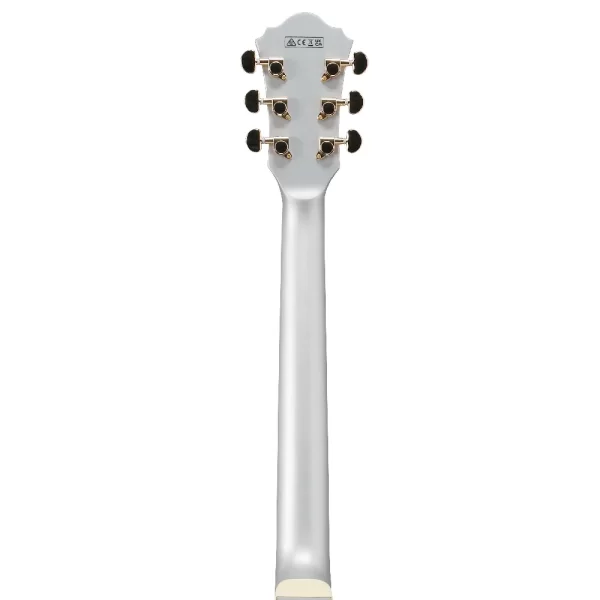 Ibanez AS73G-MSF Elektro Gitar