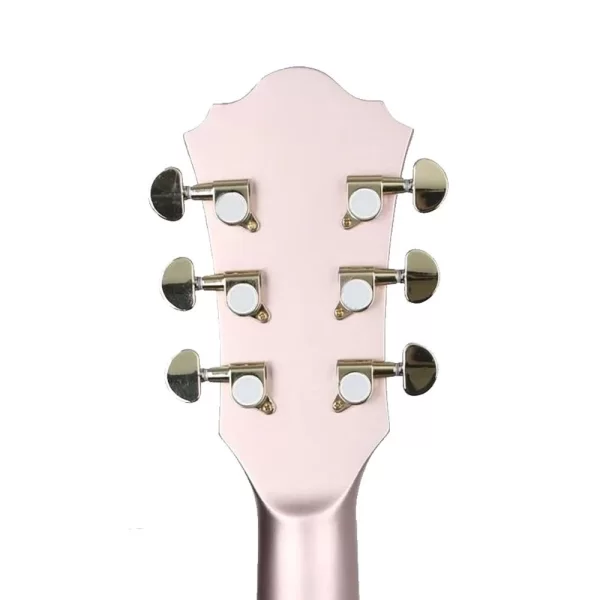 IBANEZ AS73G-RGF Elektro Gitar