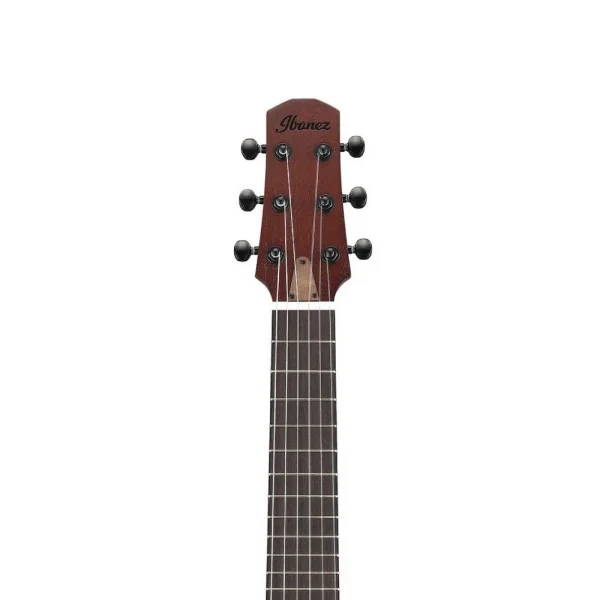 Ibanez AUP10N-OLB Klasik Gitar