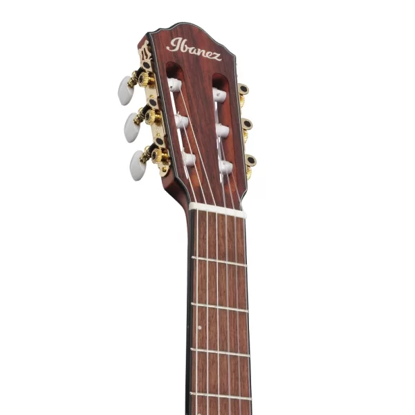 Ibanez FRH10N-IBF Thinline Elektro Klasik Gitar