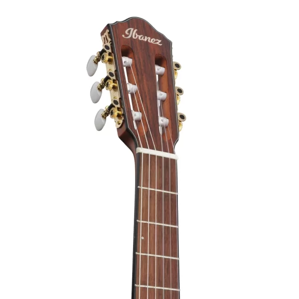 Ibanez FRH10N-RGF Thinline Elektro Klasik Gitar