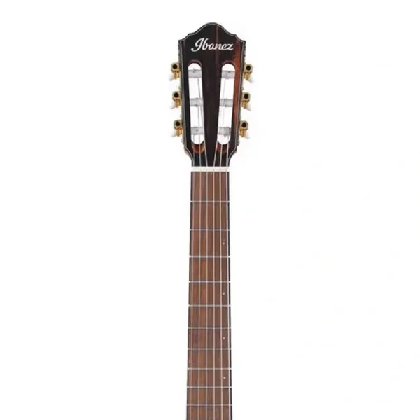Ibanez FRH10NL-BSF Thinline Solak Elektro Klasik Gitar