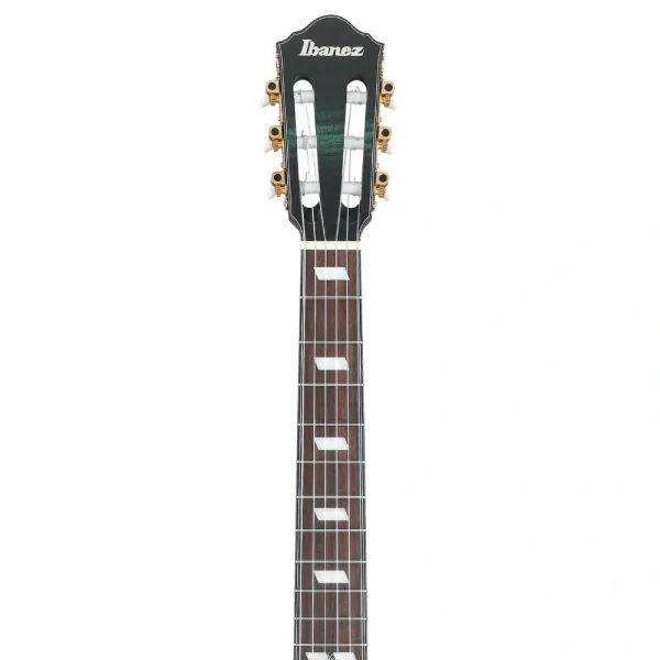 Ibanez FRH20FMN-DGL Elektro Gitar